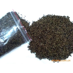 供优质决明子 盐炒决明子茶 保健代用茶