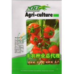 法国红瑞娜串收番茄 亮红色 硬度高 果型齐 抗TY 大面积种...