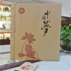湖南黑茶陶源茗中国梦茶叶礼盒湖南紧压茶 400g