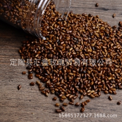 厂家直销芳香决明子茶散装袋装花果茶养肝明目药食同源量大从优