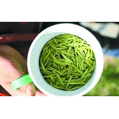 中国名茶信阳毛尖 名优绿茶 送礼佳品信阳毛尖