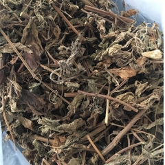 甜溪黄草 500克 甜溪黄茶 中药材批发