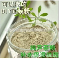 优质库拉索芦荟粉 营养饮品 通便排毒 冲调饮品奶茶果粉原料批...