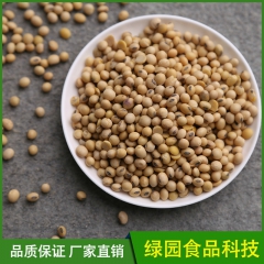 爆款热销膨化大豆粉 优质动物饲料大豆粉 欢迎来电订购