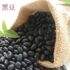 中药材 黑豆 黑大豆 乌豆 五谷杂粮 黑豆粉   各种规格
