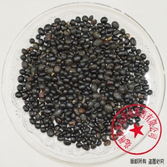 批发供应 黑大豆 黑豆粉 橹豆 乌豆 枝仔豆