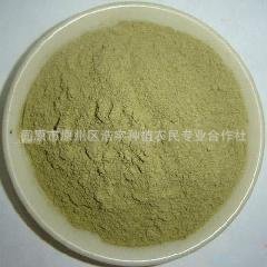 宁夏固原供应 绿豆粉 绿豆粉厂家 绿豆粉功效与作用