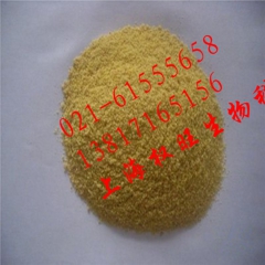 大量供应食品级大豆磷脂粉 大豆卵磷脂 大豆粉 零售批发