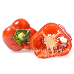 红甜椒、灯笼椒、 番椒、菜椒