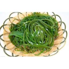 海带粉  海带速溶粉 水溶性细粉