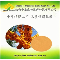沙棘果汁粉 沙棘粉 天然饮品 无添加 天然萃取 厂家直销 含...