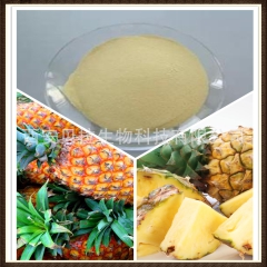 喷雾干燥 100%速溶菠萝粉 食品饮料 天然果汁粉 现货包邮