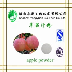 供应苹果汁粉 纯天然原料 全水溶 厂家直销