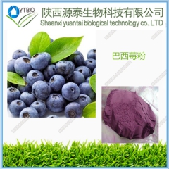 巴西莓粉/100%水溶巴西莓果粉/喷雾干燥/巴西莓果汁粉/饮...