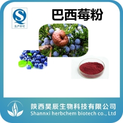 正宗巴西莓果汁粉 100%不添加辅料 富含营养成分 水溶性好