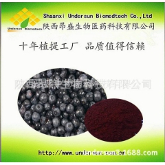 黑加仑果汁粉 黑加仑提取物 速溶果粉 厂家直销