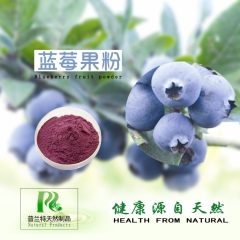 纯天然蓝莓粉蓝莓速溶果粉蓝莓果汁粉蓝莓花青素粉 厂家供应