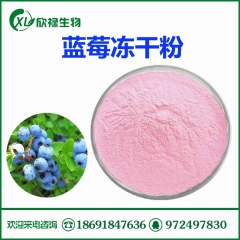 蓝莓冻干粉，蓝莓果汁饮料粉，喷雾干燥，果粉厂家，量大从优
