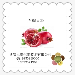 石榴粉 天然蔬果粉 石榴果汁粉 厂家现货