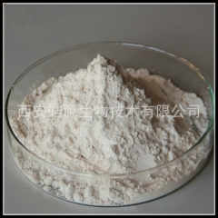 鳄梨粉鳄梨果粉，牛油果果汁粉固体饮料，冻干水果粉