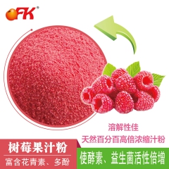 OFK牌台湾进口纯天然覆盆子水果粉果汁粉果粉食品加工原料