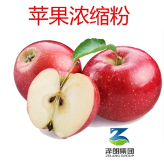 苹果汁浓缩粉 Apple苹果粉 江苏南京OEM工厂代加工各类...
