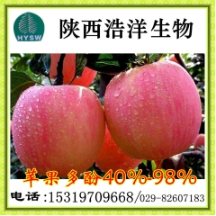 厂家供应苹果提取物 苹果多酚 苹果汁粉 苹果醋酸粉 苹果皮提...