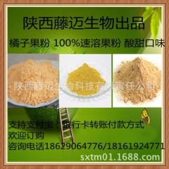 【橘子粉】100%水溶 纯正橘子果粉 天然桔子果汁粉 厂家现...