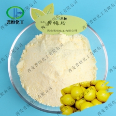 厂家批发 柠檬果汁粉|柠檬粉|天然速溶果粉、食品饮料|品质保...
