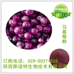 【厂家现货】马基梅速溶粉 进口马基莓果粉 纯天然马基梅果汁粉