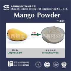 供应全水溶芒果汁粉 芒果粉