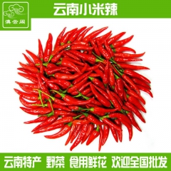 中华老字号 东阿阿胶桃花姬阿胶糕300g