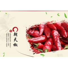 中华老字号 东阿阿胶桃花姬阿胶糕300g