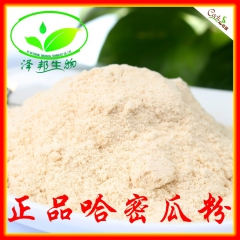 速溶哈密瓜粉 哈密瓜果汁粉 哈密瓜粉 喷雾干燥粉厂家直销