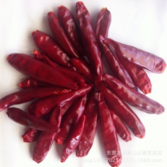 干辣椒 产地直销 现货批发 河南朝天椒 天鹰小椒  火锅专用...