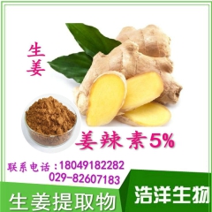 姜辣素5% 生姜提取物 干姜浓缩粉 生姜汁粉 现货包邮 一公...
