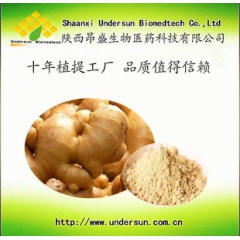 陕西昂盛供应 生姜汁粉  生姜粉 功能性饮品 厂家直销 品质...