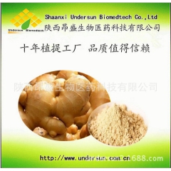 生姜汁粉,生姜提取物,姜辣素,生姜粉,厂家直销