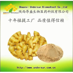 陕西昂盛 厂家直销 现货供应 生姜汁粉 生姜粉  质量可控 ...