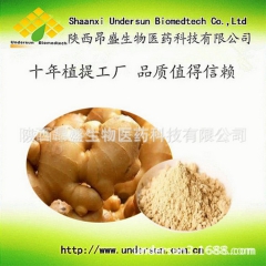 生姜汁粉,生姜粉,天然果蔬粉,保健品食品专用