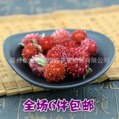 2016批发供应红巧梅 妃子红 优质无沫红巧梅 红巧梅花茶 ...