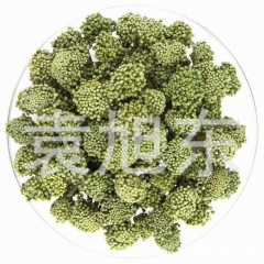 花草茶批发 云南文山三七花 田七花茶 散装  量大从优