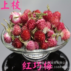 批发供应红巧梅 妃子红 优质无沫红巧梅 红巧梅花茶 亳州上枝...
