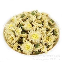 晨升药业花茶批发正宗黄山贡菊花优质贡菊花 正品保障