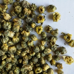 胎菊王 批发供应胎菊花茶 散装胎菊王 清肝明目 胎菊大货批发