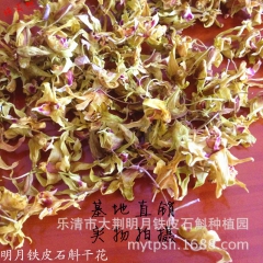 铁皮石斛干花茶基地直销铁皮石斛花 新鲜采摘当天烘烤而成雁荡山