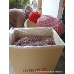 批发供应山东小桃花茶/山桃花干花蕾16年桃花花茶 散装国花堂