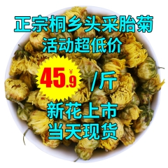 正宗桐乡杭白菊散装头采胎菊王批发特级花草茶胎菊无硫产地菊花茶