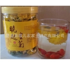 婺源皇菊 晓起皇菊 皇菊花茶 有机菊花茶 罐装 菊花