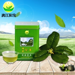 厂家直销广西野生石崖茶养生有机茶桂花石崖茶 降糖茶 石花茶